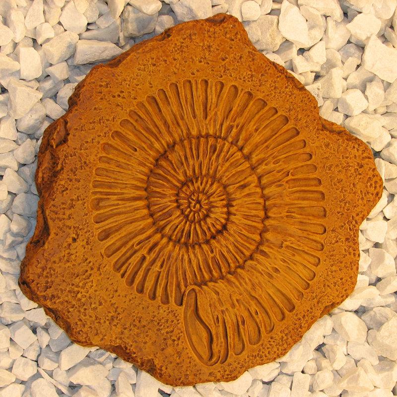 Nichols Bros. Stoneworks Ammonite Stepping Stone & Reviews Wayfair